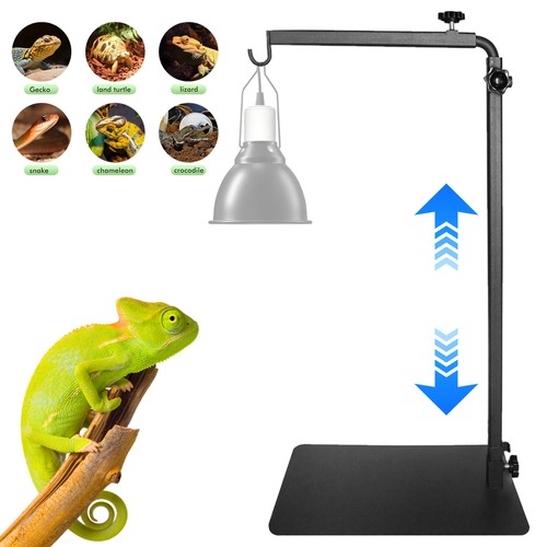 Reptilien lampenständer - reptilien,